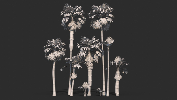 Modular Mexican Fan Palm Tree - Washingtonia Robusta
