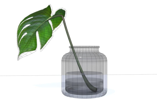 Monstera B03
