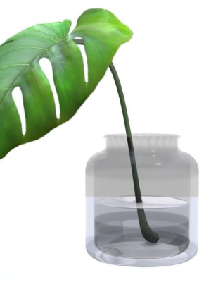 monstera-b03-3d-model-793c1a7e7a