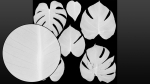 Monstera deliciosa leaves textures and model