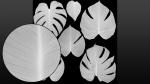 Monstera deliciosa leaves textures and model
