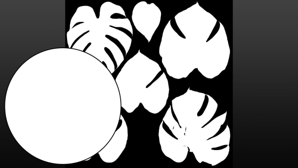 Monstera deliciosa leaves textures and model