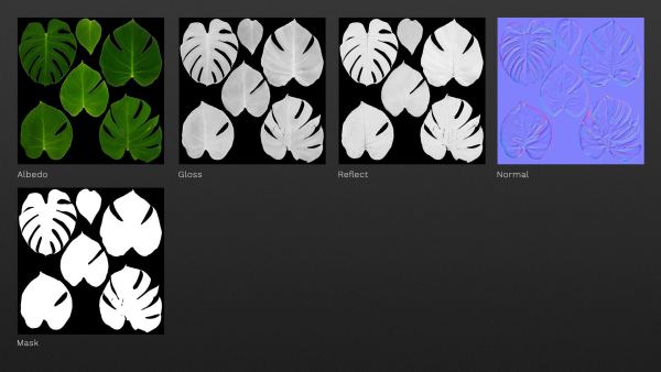 Monstera deliciosa leaves textures and model