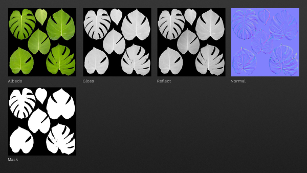 Monstera deliciosa leaves textures and model