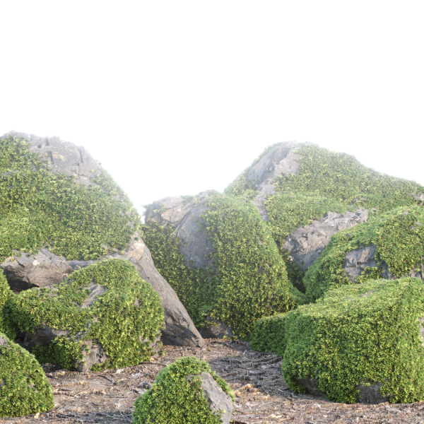 Mossy rocks 3D PBR Models Pack