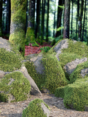 Mossy rocks 3D PBR Models Pack