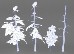 Mountain Forest Pack
