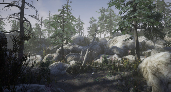 Mountain Forest Pack