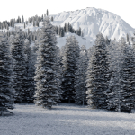Mountain landscape