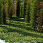 Mountain landscape
