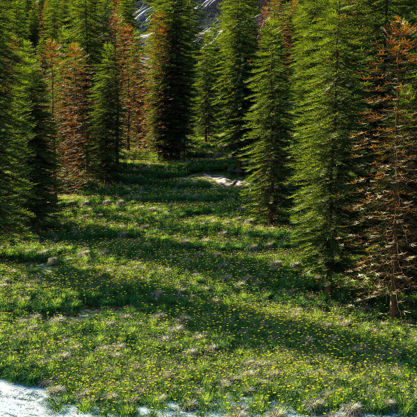 Mountain landscape