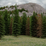 Mountain landscape