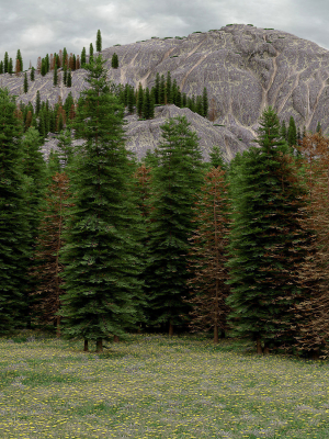 Mountain landscape