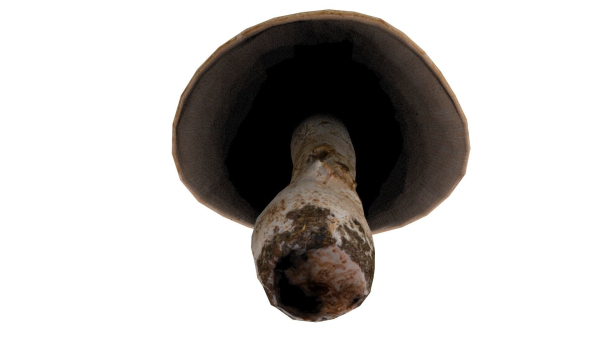 Mushroom