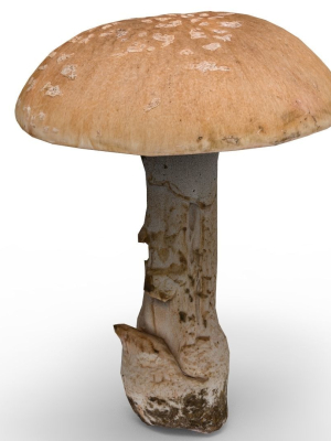 Mushroom