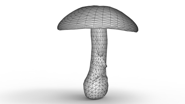 Mushroom