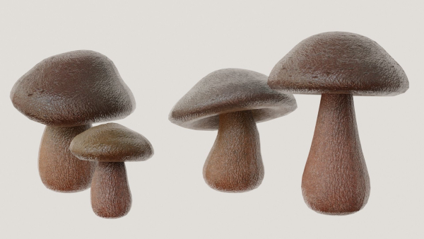 Mushrooms wooden mushroom