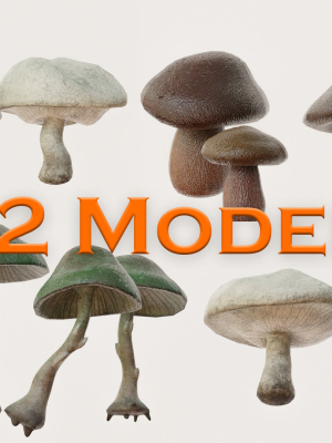 Mushrooms wooden mushroom