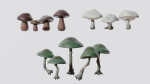 Mushrooms wooden mushroom