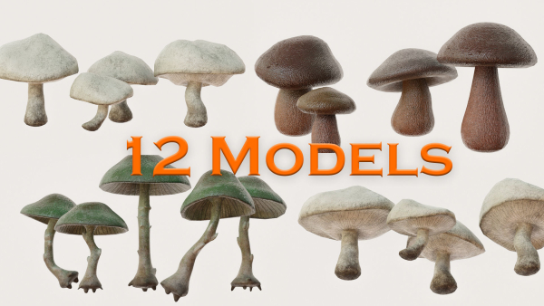Mushrooms wooden mushroom