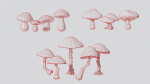Mushrooms wooden mushroom