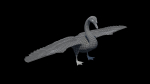 Mute Swan