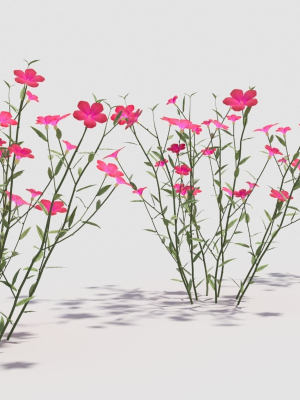 myosotis-3d-model-60b1271138