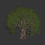 Mysterious tree vol 251