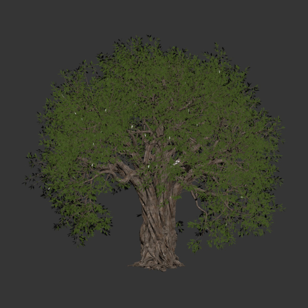 Mysterious tree vol 251