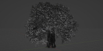 Mysterious tree vol 251-Blender