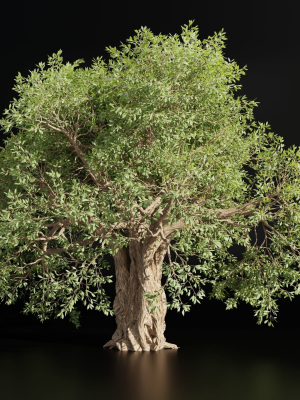 Mysterious tree vol 251-Blender