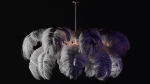 Feather Modern Chandelier  Vray - CORONA - FBX - OBJ