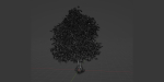 Natural tree for landscape vol 215-Blender