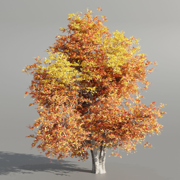 Natural tree for landscape vol 215-Blender