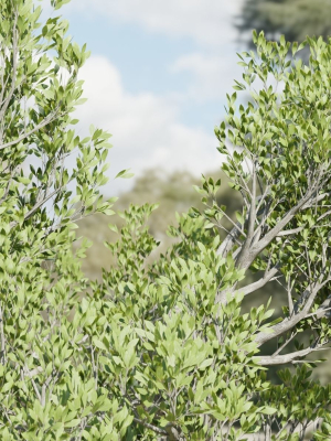 natural-tree-for-landscape-vol-219-blender-3d-model-1b93972a0e