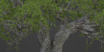 Natural Tree for landscape vol 219-Blender