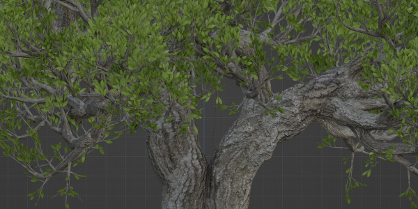 Natural Tree for landscape vol 219-Blender