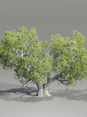 Natural Tree for landscape vol 219-Blender