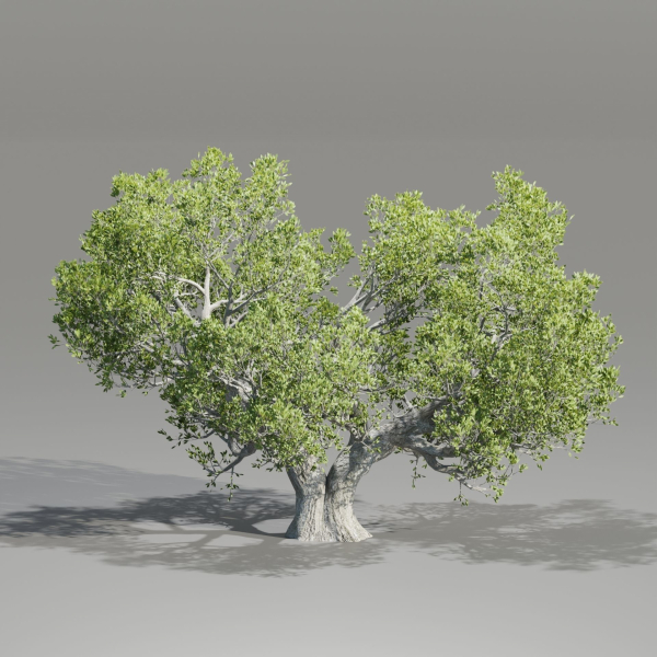Natural Tree for landscape vol 219-Blender