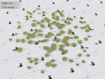 Nature Assets - Lake Plants
