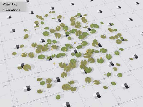 Nature Assets - Lake Plants