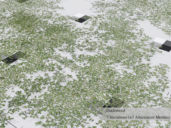 Nature Assets - Lake Plants