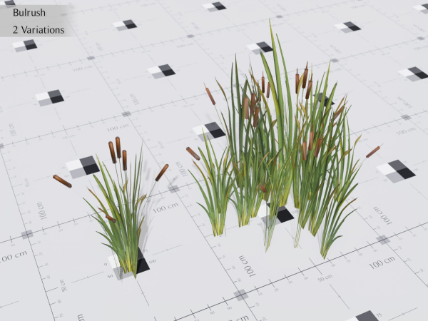 Nature Assets - Lake Plants