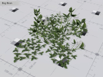 Nature Assets - Lake Plants