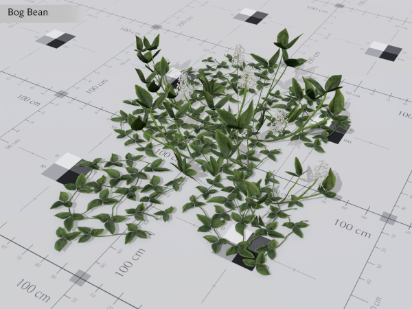 Nature Assets - Lake Plants