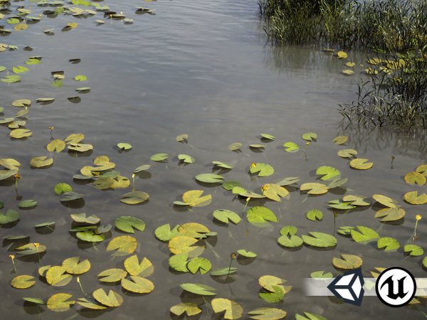 Nature Assets - Lake Plants