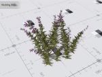 Nature Assets - Lake Plants