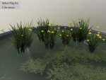 Nature Assets - Lake Plants