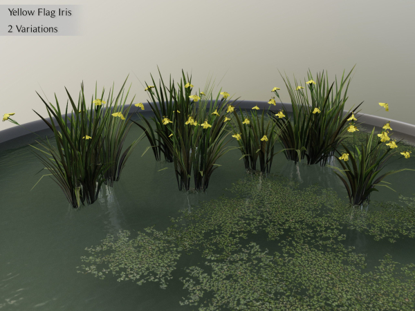 Nature Assets - Lake Plants