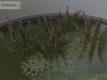 Nature Assets - Lake Plants